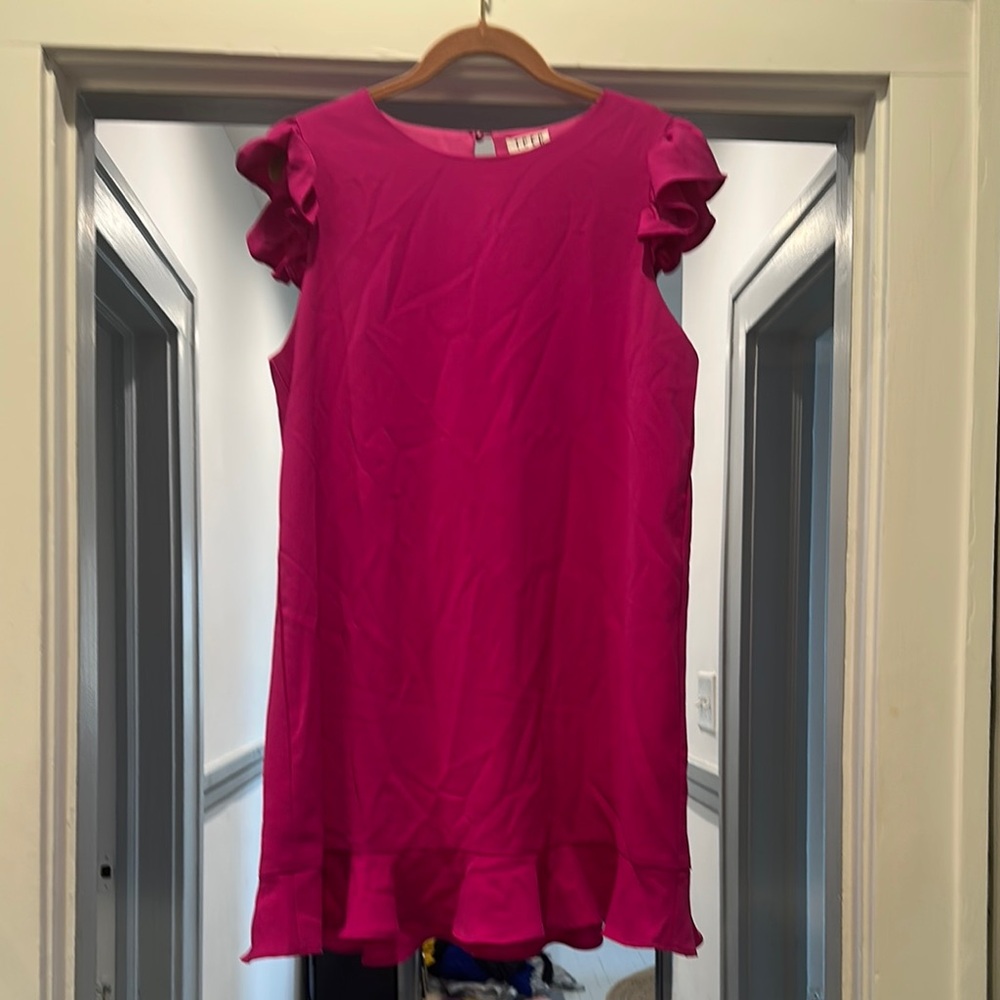 TCEC Pink Ruffle Sleeve Dress (sz L)